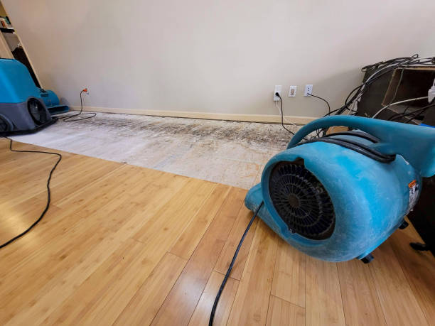 Professional Structural Drying technician working in Lagrange, IN